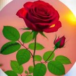Paul Khan - @paulkhan6648 - Instagram