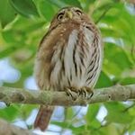 Paul Kienitz - @paulkienitz0 - Instagram