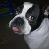 Paul Kincheloe - @paul.kincheloe - TikTok