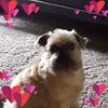 paulakipp7 - @paulakipp7 - TikTok