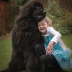 Paul Kirkham - @plfpharma - Instagram