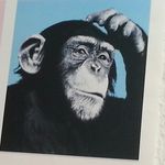 Paul Kirschbaum - @clashgamercom7 - Instagram