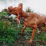 Paul Kister - @paulkister - Instagram