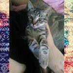 Kittor Paul - @kittor_paul - Instagram