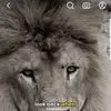le prince de la ville - @petersonkleinpaul - TikTok