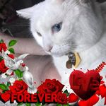 Paul Klinger - @paul.klinger.731 - Instagram