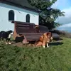 Pablo Sonido de la montagna - @paulklinkenberg5 - TikTok