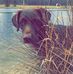 Paul Knott - Facebook