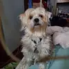 Paul Knudson - @paul.knudson4 - TikTok
