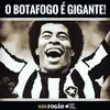 Paulo Knupp - @pauloknupp1 - TikTok
