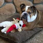 Paul Knutson - @knute1958 - Instagram