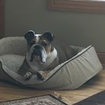 Paul Knutson - @paulk3337 - Instagram