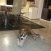Paul Kober - Facebook