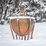 Paul Kober - @paulkoberphoto - Instagram