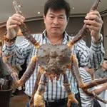 Paul Koh - @paul.koh.12 - Instagram
