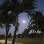Paul Korpi - @korpipaul - Instagram
