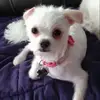 Paul Kovacs - @paulkovacs41 - TikTok