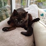 Paul Kowalewski - @boqemukube - Instagram
