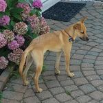 Paul Kowalewski - @paulkowale - Instagram