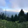 paulkrachuk - @paulkrachuk - TikTok