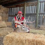 Paul Kress - @paularthurkress - Instagram