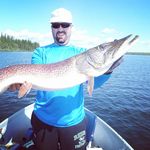 paul kress - @kress.paul - Instagram