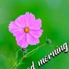 user4261742854008 - @paulku - TikTok