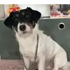 Lui 🇩🇪🦅 - @paul.kuck1 - TikTok