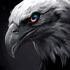 Paul kuen - @paulkuen187 - TikTok