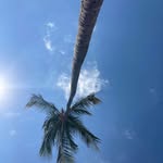 Paul Kullmann - @paulkullmann - Instagram