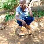 Paul Kuria - @paul.kuria.395 - Instagram