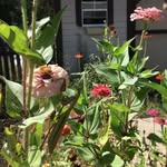 Paul Kyzer - @paul.kyzer - Instagram