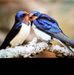Paul Laboda - Facebook