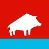 Paul Lack - @paul.lack - TikTok