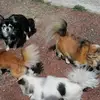 Jean-Paul Lacour - @jeanpaul.lacour2 - TikTok