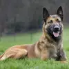 Paul.lacourt - @paul.lacourt - TikTok