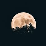 @paulladenvers - Instagram