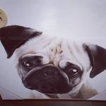 Paul Lafferty - @pablaff - Instagram