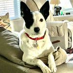 Paul Lafferty - @paullaff1 - Instagram