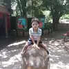 Paul Laing - @paul.laing8 - TikTok