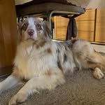 Paul Lamberti - @paul_lamberti - Instagram