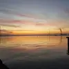 Paul Lambertini - @paullambertini - TikTok