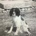 Paul Landolfi - Facebook