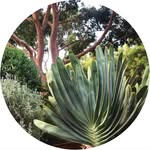 Oliver Paul Landscaping - @oliver_paul_landscaping - Instagram