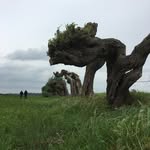 paul-landscape - @paullandscape - Instagram