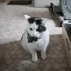 Paul Ganglbauer - @paulganglbauer - TikTok