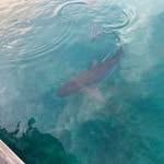 Paul Langille - @paulflang - Instagram