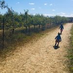 Paul LaRocco - @plarocco - Instagram