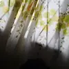 paullarose686 - @paullarose686 - TikTok