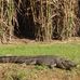 Paul Lauridsen - Facebook